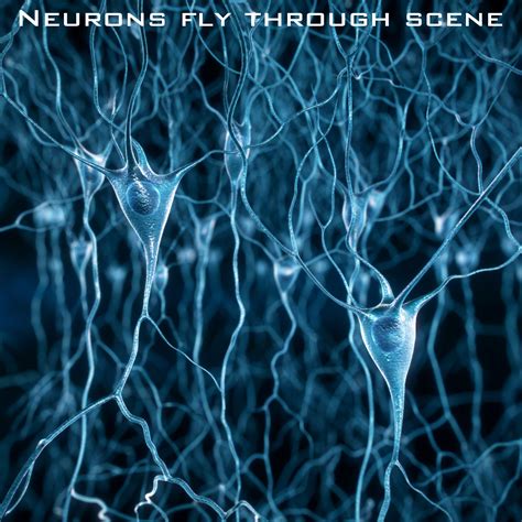 Medical Visualization Brain Synapses Neurons Fly Trough Animation 3d