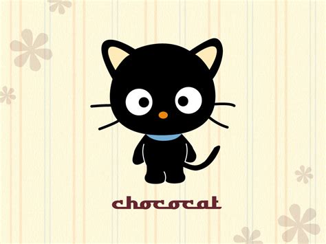 Chococat Sanrio Wallpaper 56144 Fanpop