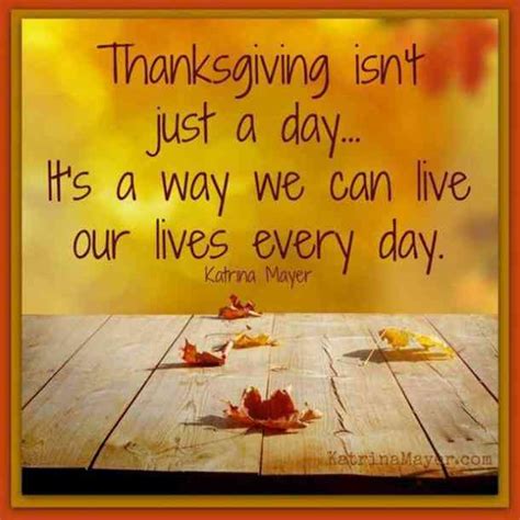 50 gratitude memes to share when you re feeling thankful happy thanksgiving quotes