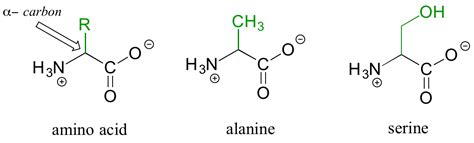 E Amino Acids And Proteins Chemistry Libretexts