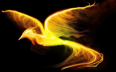 Download Fire Bird Fantasy Phoenix Hd Wallpaper