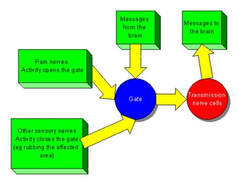 If distraction can actually inhibit pain, then the distraction make a wish provides reduces pain in pain is a neurologic response to unpleasant stimuli. BDS INSIGHTS: Gate Control Theory