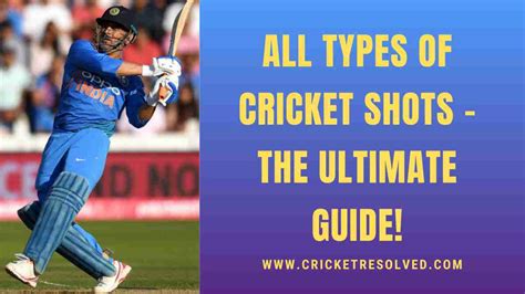 All Types Of Cricket Shots The Ultimate Guide Cricket Resolved