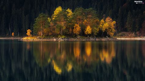 Viewes Autumn Lake Autumn Reflection Trees Beautiful Views