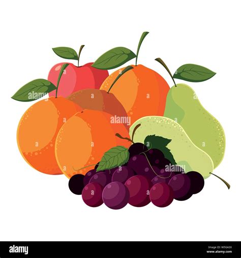 Fresh Fruits Apple Orange Mango Grapes Pears Vector Illustration Stock
