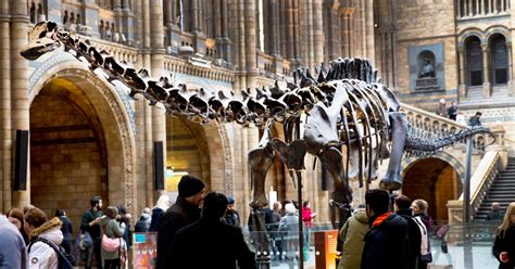 Dippy The Diplodocus Bows Out After 112 Years At Natural History Museum