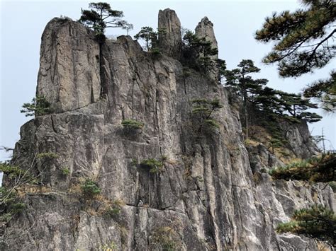 Free Picture Big Rocks Cliff Vertical Tree Mountain