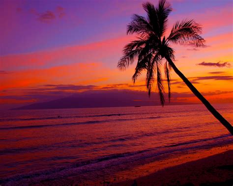 Free Download Na Pulpit Hawaiian Sunset Zachody Soca Natura Wallpapers