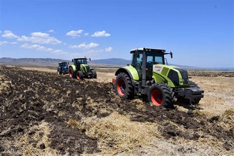Azerbaijan Unveils Wheat Crop Areas In Ulu Agro Llc Gakh Agriculture