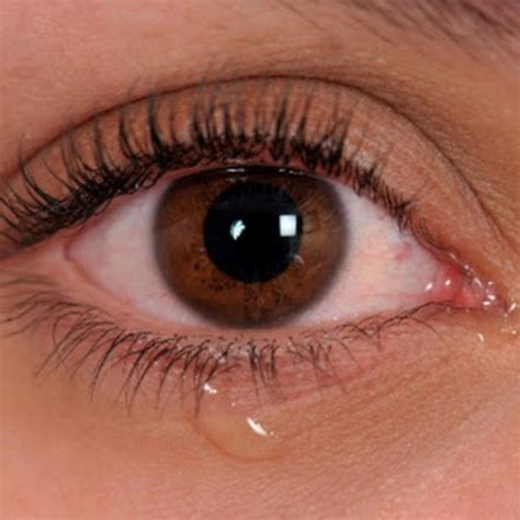 قم بإرسال نموذج طلب فتح حساب فيس بوك مرة أخرى. حساب مغلق - YouTube