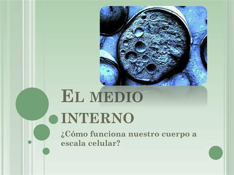 Ppt El Medio Interno Powerpoint Presentation Free Download Id2092282