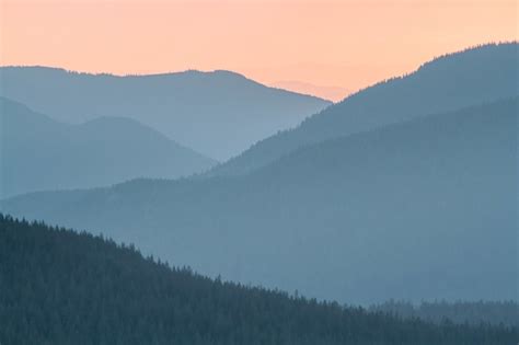 Beau Paysage De Coucher De Soleil Dans Le Parc National Du Mont Rainier