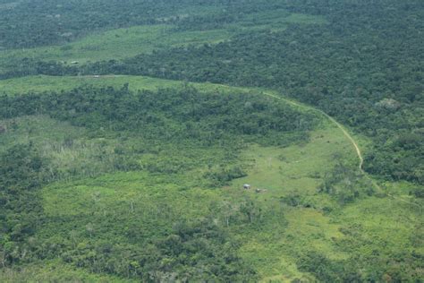 ¿minería Y Exploración Petrolera En Las Reservas Forestales De Colombia