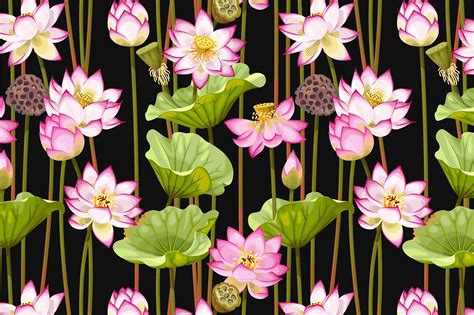 Lotus Patterns Abstract Floral Paintings Abstract Flowers Lotus Art