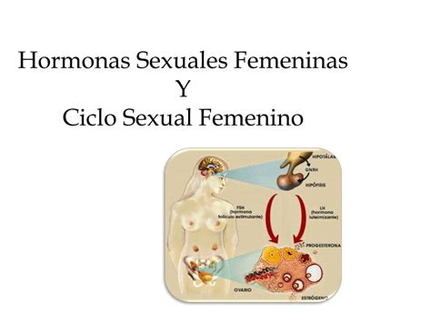 Ppt Hormonas Sexuales Femeninas Y Ciclo Sexual Femenino Powerpoint My