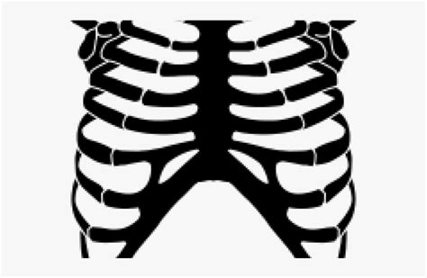 Rib Cage Png Transparent Images Skeleton Rib Cage Clipart Png