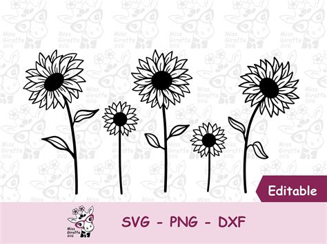 Sunflower With Stem Svg Files For Cricut Hand Drawn Spring Etsy Uk