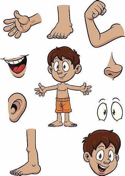 Body Parts Cartoon Vector Animal Kid Human