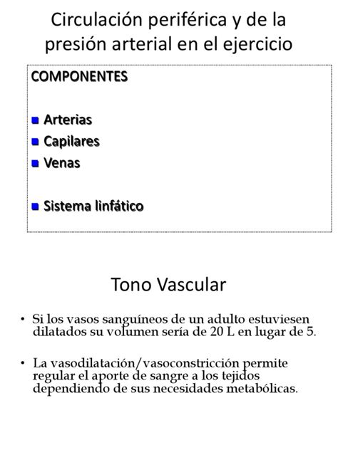 Circulación Periférica Y De La Presión Arterial En El Ejercicio