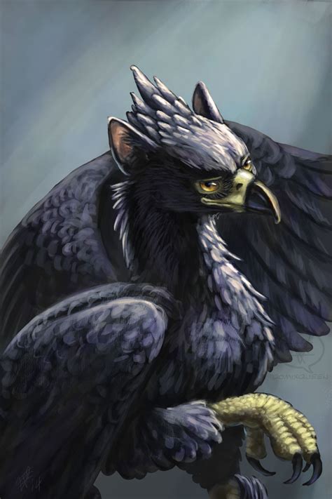 The Black Gryphon By Comixqueen On Deviantart
