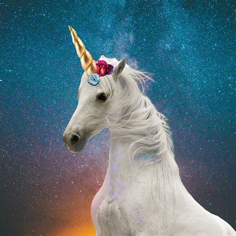 8 Funny Unicorn Quotes For Instagram Tumblr And Mobile Wallpaper