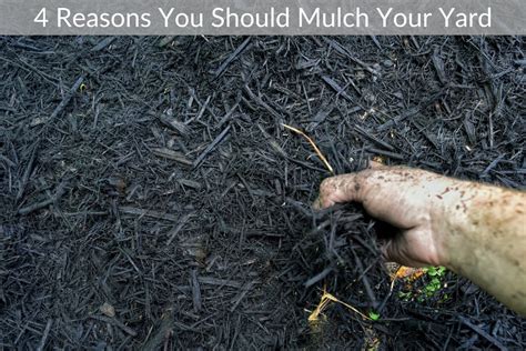 4 Reasons You Should Mulch Your Yard Just Yardz