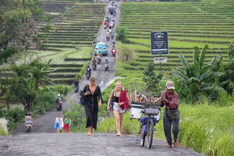 The Canggu Shortcut Balis Most Infamous Road Balikit