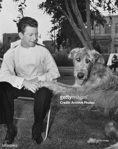Donald Oconnor Photos And Premium High Res Pictures Getty Images