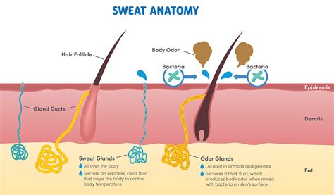 Excessive Sweating Chicago Cosmetic Surgery And Dermatology