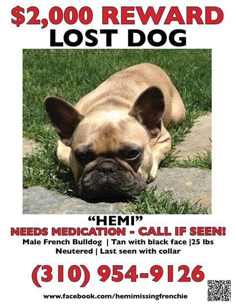Please Share Missing As Of 71913 In Los Angeles Near Runyon Canyon