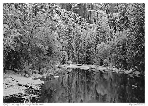 Black And White Picturephoto Snowy Trees And Rock Wall Reflected In