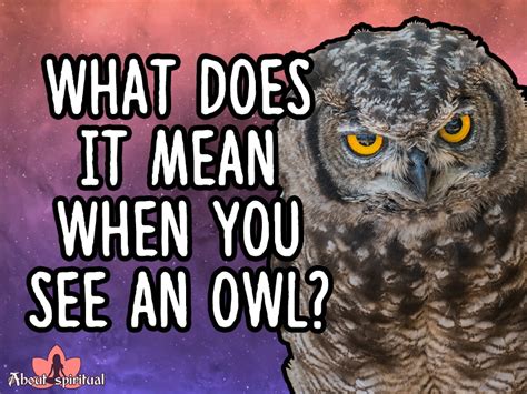What Does It Mean When You See An Owl About Spiritual