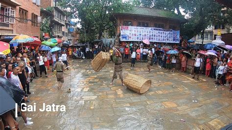 Gai Jatra Raining Kirtipur Panga Jatra 2019 Youtube