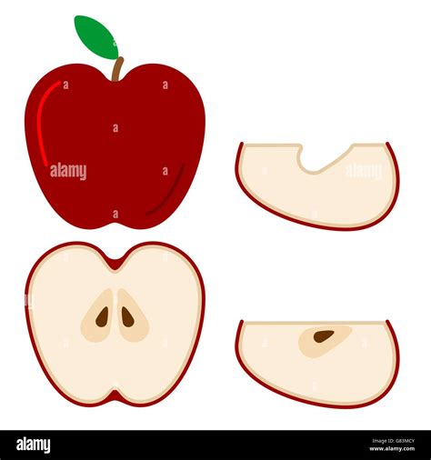 Apple Fruit And Apple Slices Vector Illustration Stock Vector Image