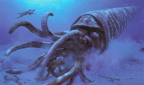 The Cameroceras A Giant Orthoconic Cephalopod That Existed During The