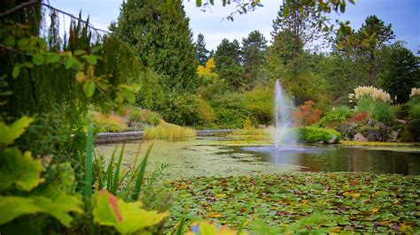 Vandusen Botanical Garden In Vancouver British Columbia Expediaca