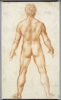 A Nude Man From Behind Leonardo Da Vinci Guardian Co Uk Arts