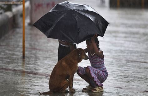 15 Amazing Acts Of Human Kindness Pickchur
