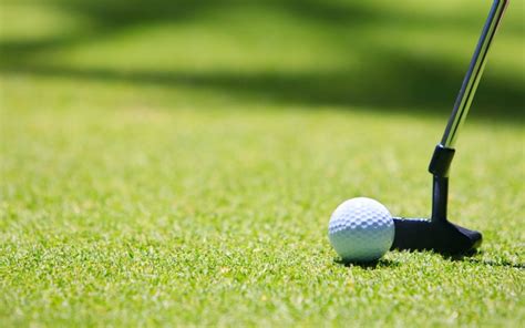 Golf Putting Green Dublin Apco Syntheticartificial Grass