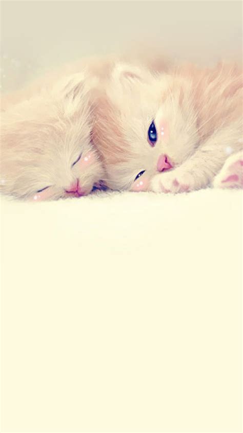 Sleeping Cute Kittens Lockscreen Iphone 6 Plus Hd