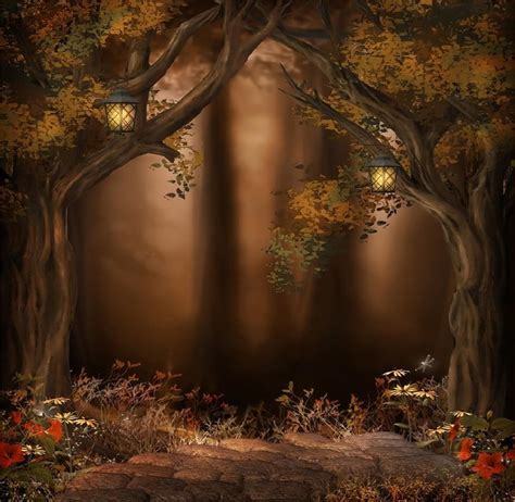 Magical Forest Hd Desktop Wallpaper Widescreen High Definition