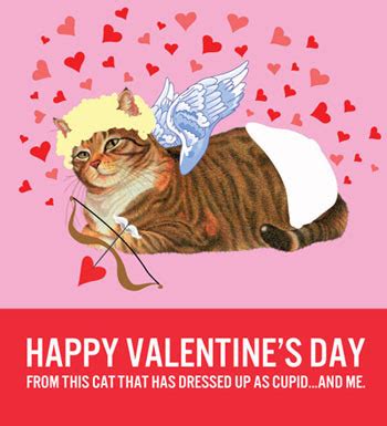 Maybe you would like to learn more about one of these? Catsparella: 12 Cat-Themed Valentine's Day Cards To Help Show You Care