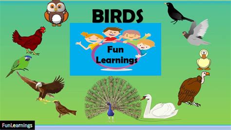 Birds By Kids Fun Learnings Youtube