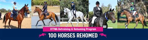 Ottwa Retraining And Rehoming Program Milestone 100 Horses Rehomed