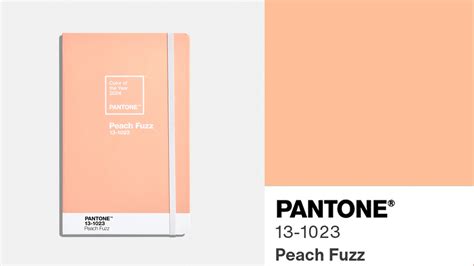 Pantone 2024 Yılının Rengini Seçti Şeftali Tüyü Pazarlamasyon