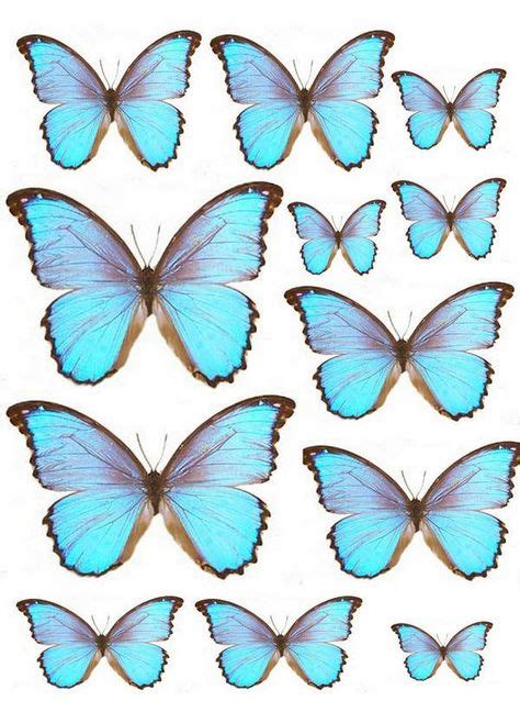 Mariposas Para Imprimir Mariposas Para Imprimir Imprimir Sobres