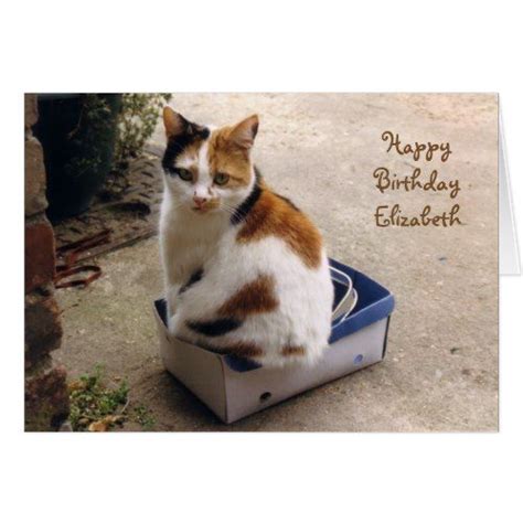 Personalized Calico Cat Sat In A Box Birthday Zazzle Boxed Birthday
