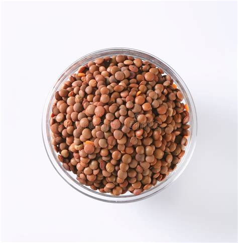 Uncooked Red Lentils Stock Photos Free Royalty Free Stock