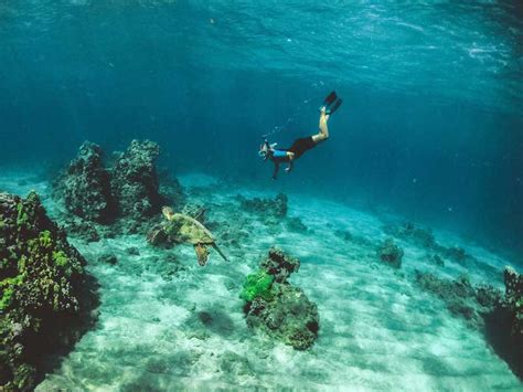 The 7 Best Scuba Diving Sites In Hawaii Life And Style Hub