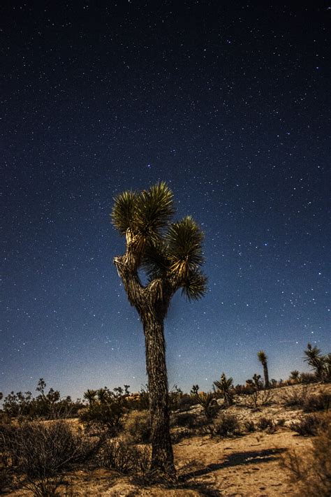 Coachella Valley Astronomy And Astrophotography